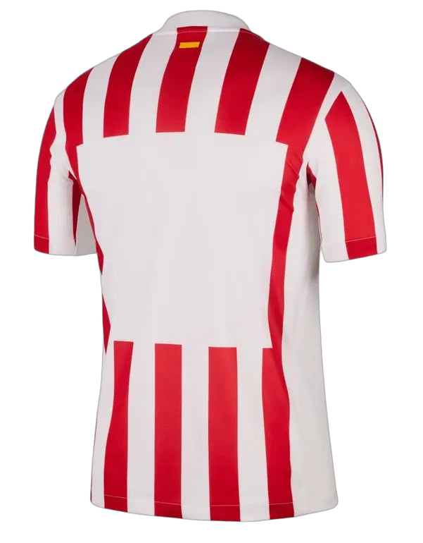 MAILLOT ATLETICO MADRID DOMICILE 2025/2026