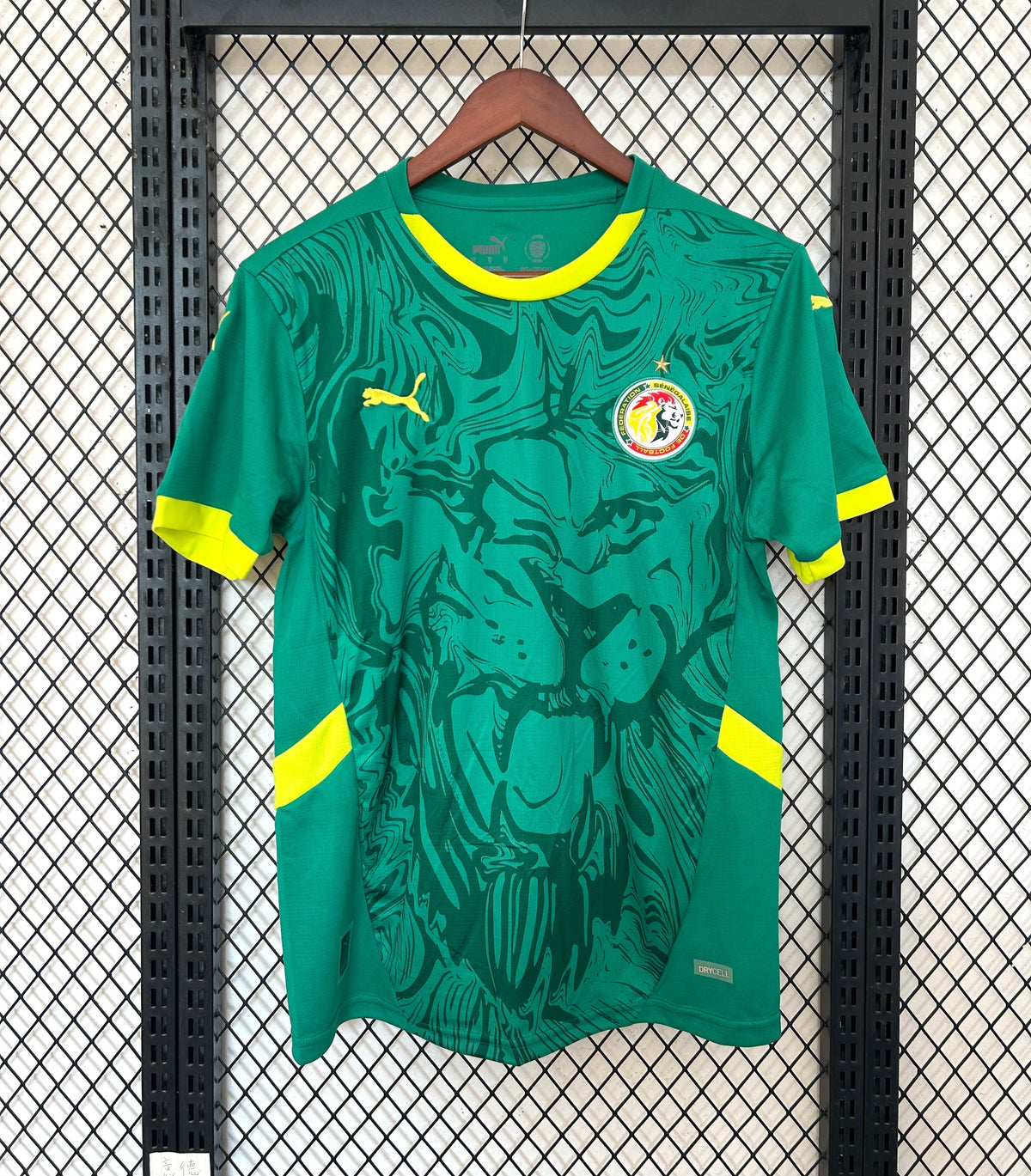 SÉNÉGAL MAILLOT CONCEPT 2025/2026