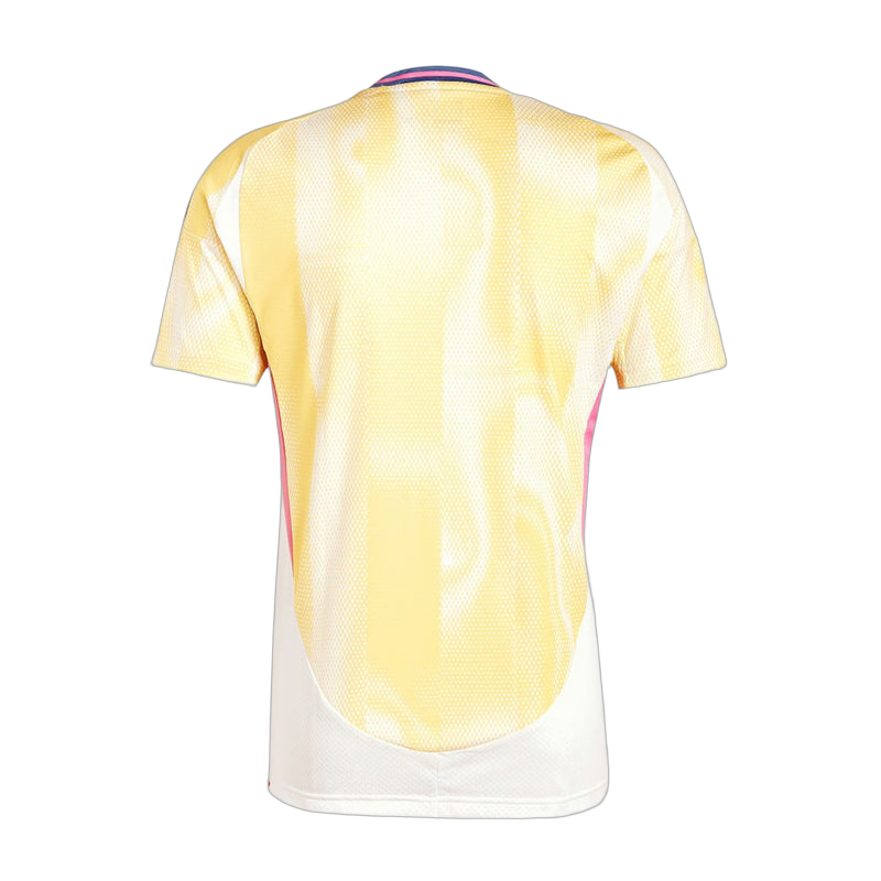 MAILLOT JUVENTUS EXTERIEUR 2024/2025