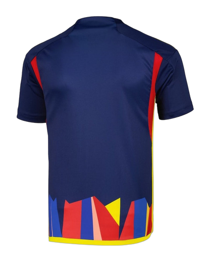 MAILLOT OL THIRD 2023-2024