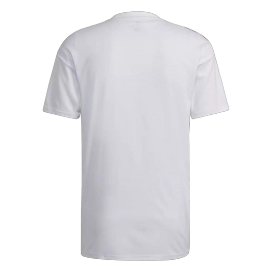 MAILLOT OL DOMICILE 2022/2023