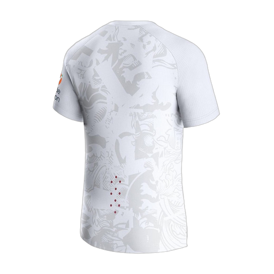 MAILLOT ASTON VILLA EXTERIEUR 2023/2024